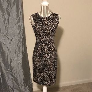 Calvin Klein Leopard Print Sheath Dress Sz 2